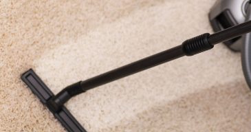 Steam Carpet and Upholstery Cleaning service