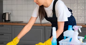 domestic cleaning services