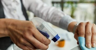 regular cleaning services